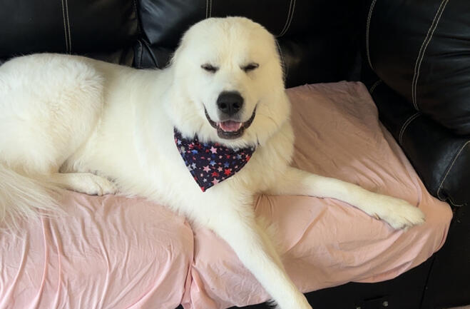Tucker